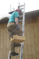 bricksladder